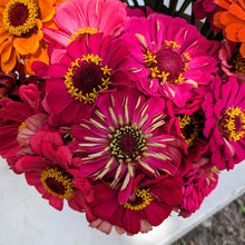 Load image into Gallery viewer, Bouquet - Zinnias