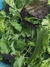 Load image into Gallery viewer, All the Love - Lettuce &amp; Greens Mix (1/2lb)