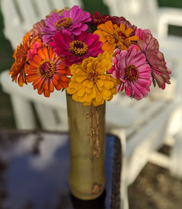 Bouquet - Zinnias