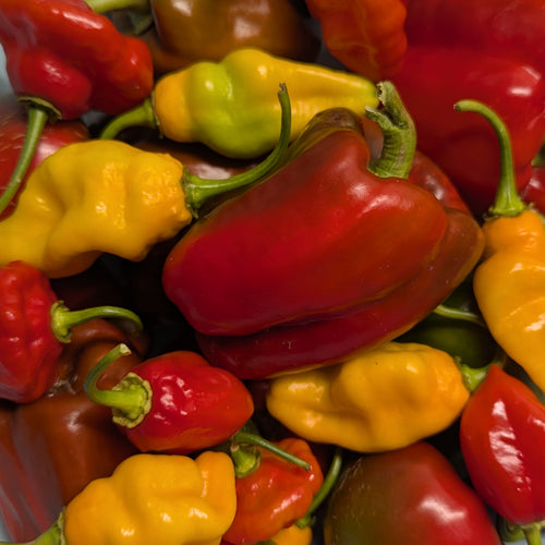 Mixed Peppers - Sweet & Season (per 1/2lb)