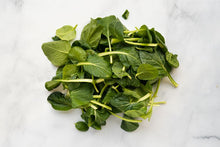 Load image into Gallery viewer, Tatsoi - Asian Greens (1/2lb bag)