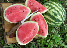 Load image into Gallery viewer, Watermelon - Pink/Red (Select a Size)