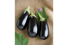 Load image into Gallery viewer, Eggplant (per 1/2lb) USDA Certified Organic