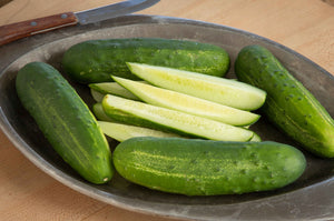 Cucumbers - Hydroponic Local Variety(per lb)
