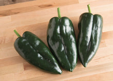 Load image into Gallery viewer, Chile Peppers - Poblano (3 count)
