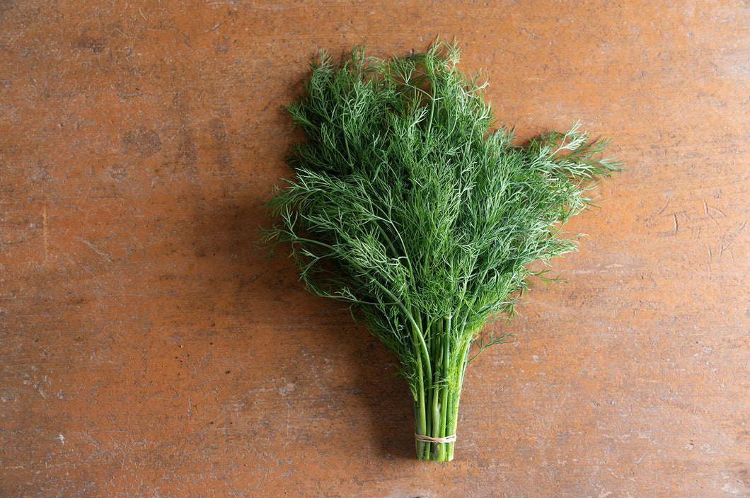 Dill (per bunch)