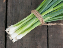 Load image into Gallery viewer, Green Onions/Scallions - (per bunch)