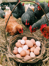 Load image into Gallery viewer, Pasture Raised+ Eggs - Dozen