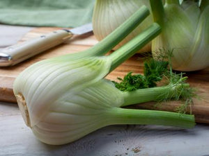 Fennel (each)