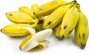 Frying Banana Bunch (Bacuba) - USDA Certified Organic