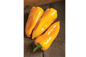 Bell Peppers - Red/Orange/Yellow (per 1/2lb)