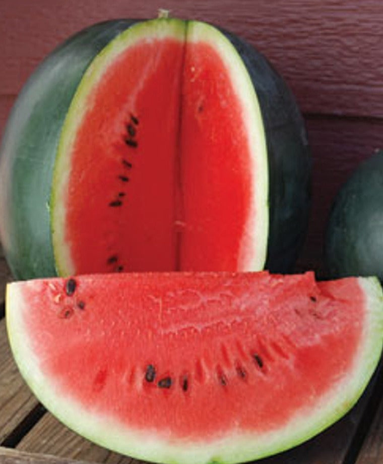 Watermelon - Sugar Baby - USDA Certified Organic (each)