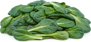 Tatsoi - Asian Spinach (per bunch)