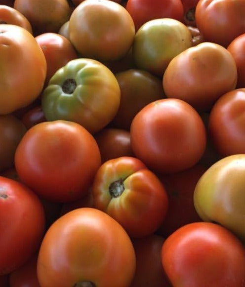 Tomatoes 2nds - Red Slicers (per lb)