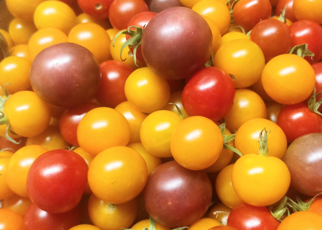 Tomatoes - Cherry (12oz bag)
