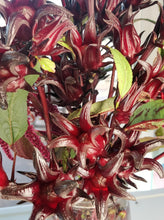 Load image into Gallery viewer, Edible Bouquet - Sorrel