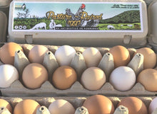 Load image into Gallery viewer, Pasture Raised+ Eggs - Dozen
