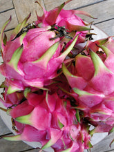 Load image into Gallery viewer, Dragonfruit (select a size)