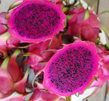 Load image into Gallery viewer, Dragonfruit (select a size)