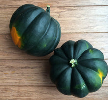 Load image into Gallery viewer, Acorn Squash (select a size)