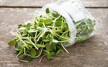Load image into Gallery viewer, Sunflower Shoots - USDA Certified Organic