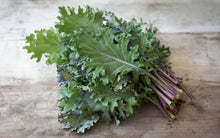 Load image into Gallery viewer, Kale - Red Russian - USDA Certified Organic (per bag)
