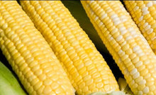 Load image into Gallery viewer, Sweet Corn - Full size (3-4 count)