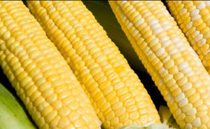 Sweet Corn - Full size (3-4 count)