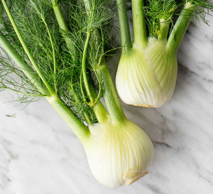 Fennel (each)