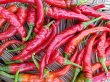 Load image into Gallery viewer, Chile Peppers - Cayenne (3 count)