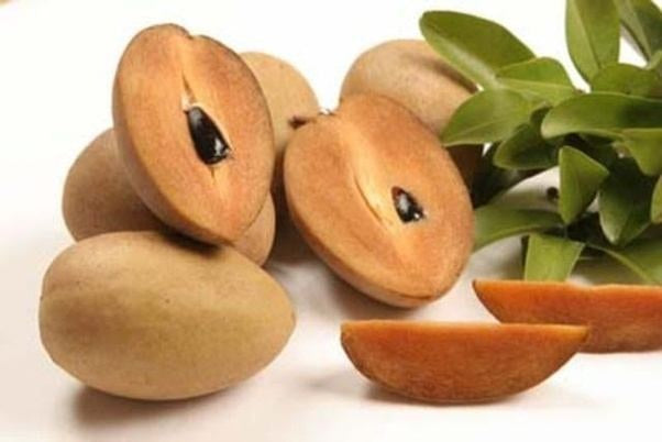 Mesple / Sapodilla Fruit (per lb)